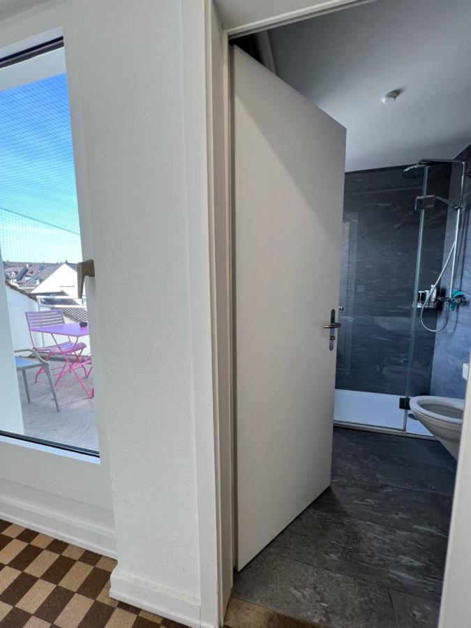 City Center Rooftop Studio With Oldtown View Basel Eksteriør bilde